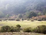 Chabot Park 002